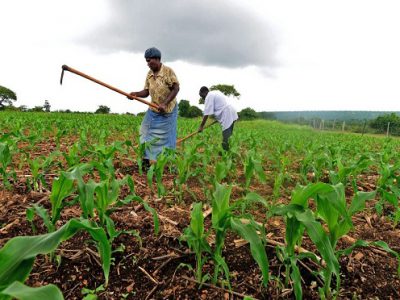 smallholder_farmers_africa